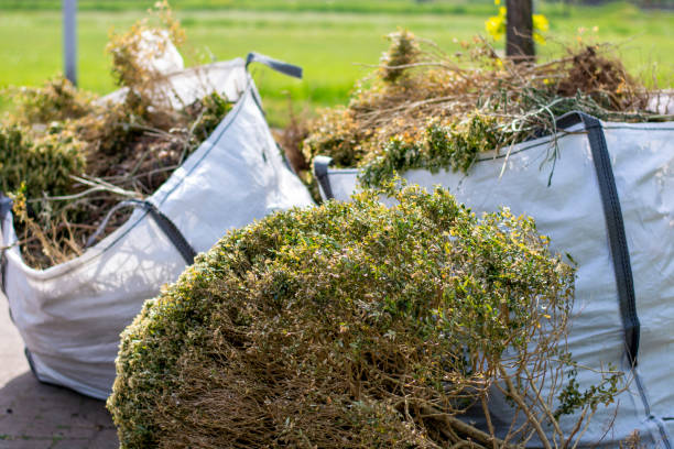Best Trash Removal Near Me  in Bayport, MN